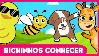 BICHINHOS CONHECER  Música Infantil  Clube da Lila Oficial [upl. by Anniroc]