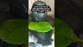 15 November ko Karen upyog ko pure Kartik ka milega purn fal har har Mahadevshortvideos videolove [upl. by Prima]