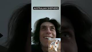 How Dog Breeds React to Robbers With Pictures [upl. by Yesteb238]