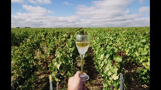 Escapade en Champagne pendant les vendanges [upl. by Egdamlat]