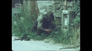 BRITISH ARMY Sappers in War 1984 [upl. by Emogene758]