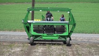 Haws Mechanical Asparagus Harvester [upl. by Riehl]