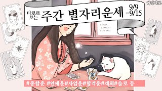 타로종합운타로로 보는 주간 별자리 운세 전체운 연애운금전운 재회운 등99915 [upl. by Kristos]