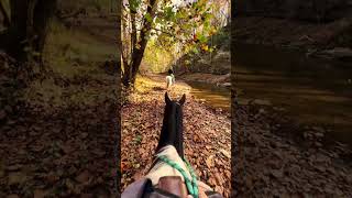 Horse riding through Middle Tennessee horse country tennessee [upl. by Susan]