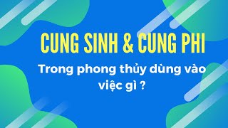 CUNG SINH CUNG PHI DÙNG VÀO VIỆC GÌ3 CÁCH TÍNH CUNG PHI [upl. by Gean475]