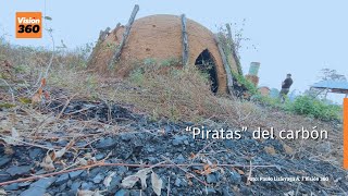 “Piratas del carbón” talan y queman valiosas especies madereras del bosque chiquitano en Santa Cruz [upl. by Adneral]