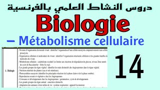 Métabolisme cellulaire catabolisme oxydatif [upl. by Merwin248]