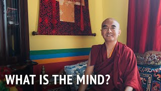 What is the Mind  Mingyur Rinpoche [upl. by Magdala]