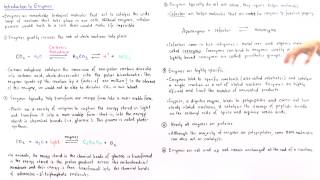 Properties of Enzymes [upl. by Alisen]