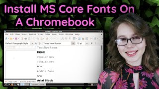 Install MS Core Fonts On A Chromebook [upl. by Diley]