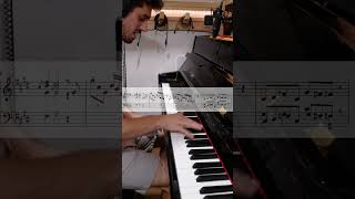 That One Brain Cell During Exams piano transcription anomalie [upl. by Amory]