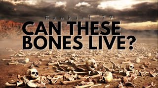 Can These Bones Live Brother Hercules 11124 [upl. by Kast]