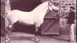 A Percheron History photographic montage [upl. by Ajet]