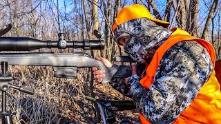 Deer Hunting  Bergara 300 Win Mag  DEER DOWN [upl. by Irah]