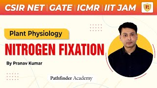 🌱 Nitrogen Fixation  Plant Physiology  Pranav Kumar  CSIR NET  GATE  ICMR  IITJAM  CUETPG 🌱 [upl. by Haslam]