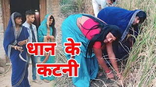 धान के कटनीcomedy lalan chacha ke comedy🤣lalanchachakecomedy😂funny🤣viralvideo udaydoctorcomedy [upl. by Xonnel]