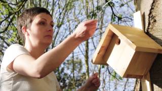 Comment fabriquer un nichoir pour oiseaux [upl. by Giarc]