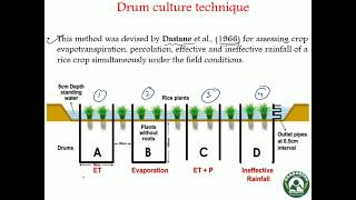 Effective Rainfall and Drum Culture Technique [upl. by Mikaela17]