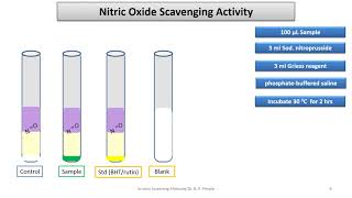 Nitric Oxide Scavenging Assay amp Reducing power Antioxidant Assays Dr B P Pimple [upl. by Amlus]