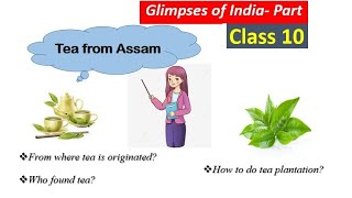 Glimpses of India  A Baker From GoaCoorgTea From Assam  English Class 10 Chapter 7  Explanation [upl. by Solegnave476]