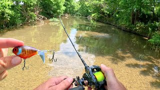 BFS Topwater Fishing Small Creek [upl. by Keppel]