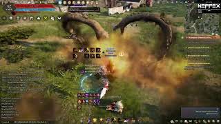 Awak Hashashin VS Awak Hashashin Black Desert 2023 [upl. by Glenna]