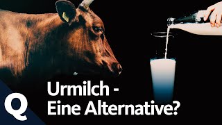 Bekömmliche Milch – Das steckt hinter dem Trend Urmilch  Quarks [upl. by Gasparo]