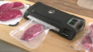 The VS9000 FoodSaver® Gamesaver Vacuum Sealer [upl. by Janerich]