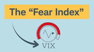 What Is the VIX® [upl. by Graves171]