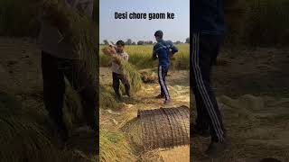 Desi chore punjabisong punjabi newsong song viralvideo music love [upl. by Ludovika]