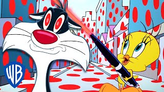 Looney Tunes en Français 🇫🇷  Le pointeur laser de Titi  WB Kids [upl. by Rolandson668]