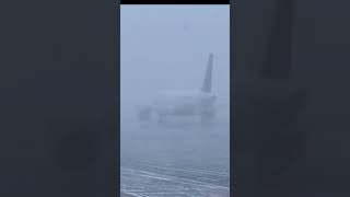 Plane lands during snowstorm at Rochester New York airport [upl. by Hareehahs]