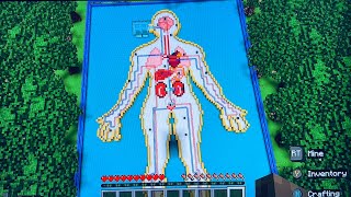 ASMR Minecraft Human Body cart tour [upl. by Langille]