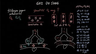 Gaz du sang  Partie 1  Docteur Synapse [upl. by Akcired429]