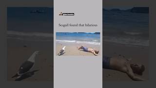 Oh My God😰Wait For End😳He made that Bird Laugh😳😂 viralcontent reels tiktok animals funny [upl. by Hjerpe721]