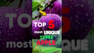 Top 5 rarest apples you wont believe exist 🤯shorts [upl. by Jeniffer]