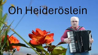 Oh Heideröslein Little Rose of the Field  German Folk song on the Accordion [upl. by Egedan]