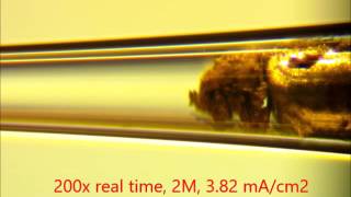 Electroosmotic flows in the capillary cell during lithium deposition III [upl. by Magnuson741]