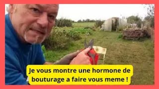 Comment réussir vos boutures avec de lhormone de bouturage naturelle [upl. by Sutsuj]