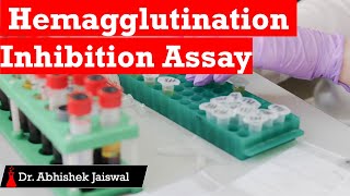 Hemagglutination Inhibition Assay [upl. by Bunting]