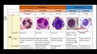 Blood OSPE  Histology [upl. by Pol]