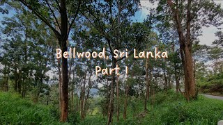 Bellwood Part I A scenic place to visit in Sri Lanka Findout [upl. by Nuahsed]