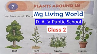 My Living World  Class 2  Ch7  Plants around us  DAV Public School [upl. by Irak948]