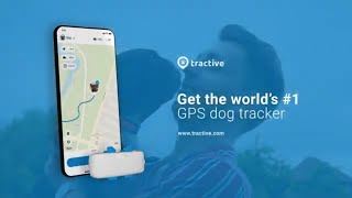 Fi Series 3 vs Tractive XL GPS Dog Tracker [upl. by Oijimer995]