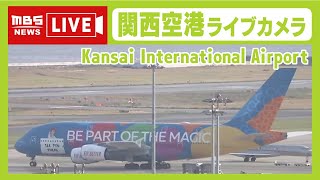 【LIVE】関西空港ライブカメラ「A滑走路」飛行機見えるかな？ OSAKA KANSAI International Airport 【MBSニュース】 [upl. by Llemmart50]