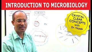 Introduction to Microbiology [upl. by Worra]