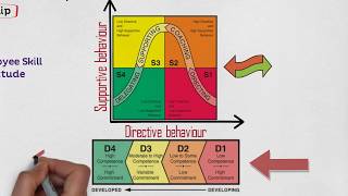 MBA 101 Leadership Situational Leadership Contingency Model [upl. by Alig]