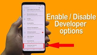 How to Enable  Disable Developer Option on Android 2019 [upl. by Ahsikad]