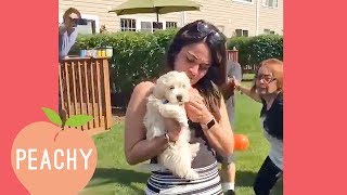 Woman Gets Proposed To With A PUPPY Proposals That Will Make You Squeak [upl. by Yerocal]