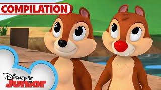 Adventures with Chip N Dale 🐿️  Nutty Tales  Shake Your Tail  1 Hour Compilation disneyjr [upl. by Elag]